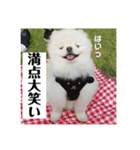 あおいちゃんためだけスタンプ第3弾（個別スタンプ：16）