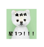 あおいちゃんためだけスタンプ第3弾（個別スタンプ：31）