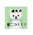 あおいちゃんためだけスタンプ第3弾（個別スタンプ：32）
