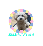 海空STAMP（個別スタンプ：7）