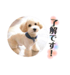 海空STAMP（個別スタンプ：8）