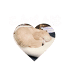 海空STAMP（個別スタンプ：9）