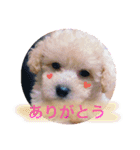 海空STAMP（個別スタンプ：10）