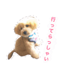 海空STAMP（個別スタンプ：11）