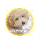海空STAMP（個別スタンプ：12）