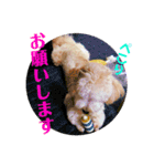 海空STAMP（個別スタンプ：15）