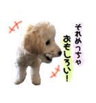 海空STAMP（個別スタンプ：16）