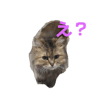 にいな,No.1(くまさん)（個別スタンプ：2）