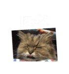 にいな,No.1(くまさん)（個別スタンプ：3）