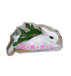 うさぎのうさこさん（個別スタンプ：4）