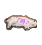 うさぎのうさこさん（個別スタンプ：7）