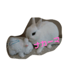 うさぎのうさこさん（個別スタンプ：17）