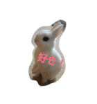 うさぎのうさこさん（個別スタンプ：18）