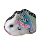 うさぎのうさこさん（個別スタンプ：20）