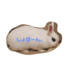 うさぎのうさこさん（個別スタンプ：22）