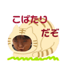 裕翔 0-2歳（個別スタンプ：33）