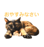 momo＆hatti 3（個別スタンプ：7）