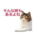 momo＆hatti 3（個別スタンプ：14）