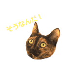 momo＆hatti 3（個別スタンプ：20）