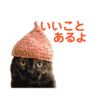 momo＆hatti 3（個別スタンプ：24）