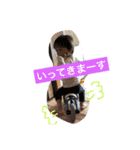 みにごじくんのすたんぷ（個別スタンプ：13）