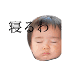 智也スタンプ3（個別スタンプ：12）