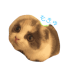 めーもん（個別スタンプ：2）