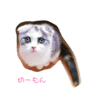 めーもん（個別スタンプ：5）