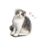 めーもん（個別スタンプ：6）