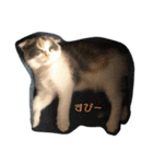 めーもん（個別スタンプ：7）