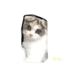 めーもん（個別スタンプ：10）