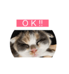 めーもん（個別スタンプ：16）
