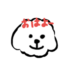 トイプーあっちゃん（個別スタンプ：1）