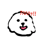 トイプーあっちゃん（個別スタンプ：2）