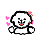 トイプーあっちゃん（個別スタンプ：4）
