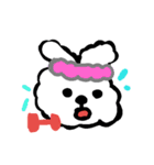 トイプーあっちゃん（個別スタンプ：5）