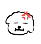 トイプーあっちゃん（個別スタンプ：9）