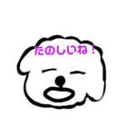 トイプーあっちゃん（個別スタンプ：13）
