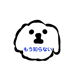 トイプーあっちゃん（個別スタンプ：16）