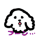トイプーあっちゃん（個別スタンプ：21）