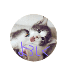 猫猫0317（個別スタンプ：9）