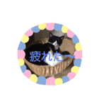 5ニャンズ2（個別スタンプ：5）