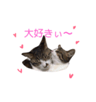 5ニャンズ2（個別スタンプ：11）