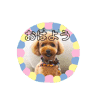 あいともな（個別スタンプ：16）