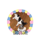 あいともな（個別スタンプ：17）