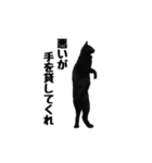 黒猫のぽんた（個別スタンプ：15）