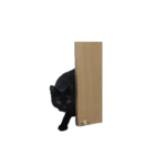 黒猫のぽんた（個別スタンプ：19）