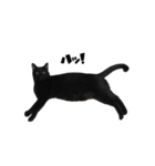 黒猫のぽんた（個別スタンプ：20）