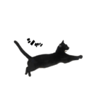 黒猫のぽんた（個別スタンプ：21）