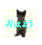 ブリショーらんちゃん♡（個別スタンプ：1）